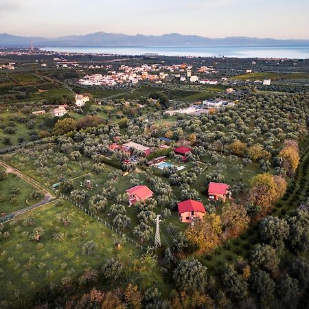 La Piana Degli Ulivi Bed & Breakfast Rossano Exterior foto