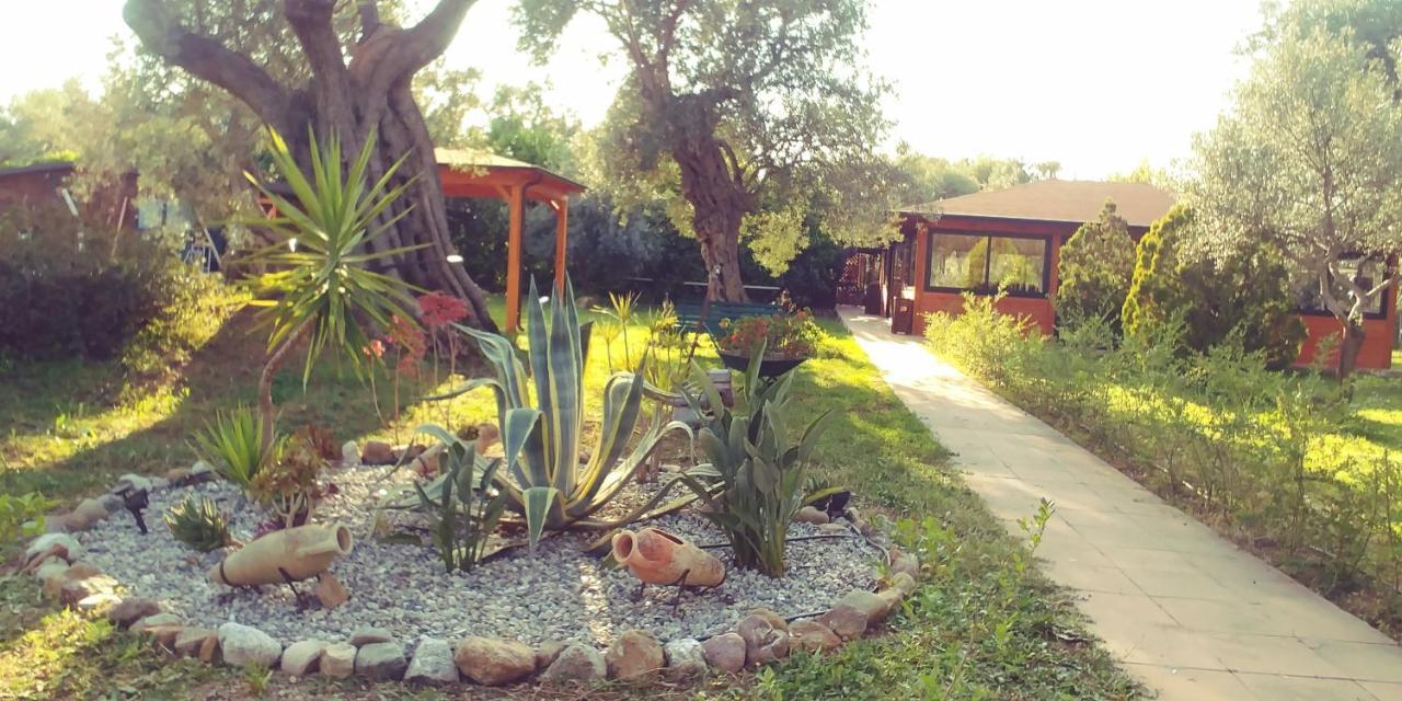 La Piana Degli Ulivi Bed & Breakfast Rossano Exterior foto