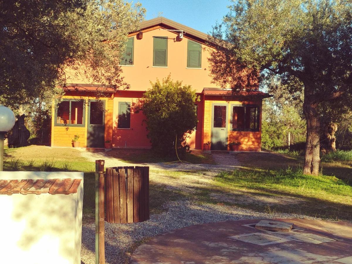 La Piana Degli Ulivi Bed & Breakfast Rossano Exterior foto