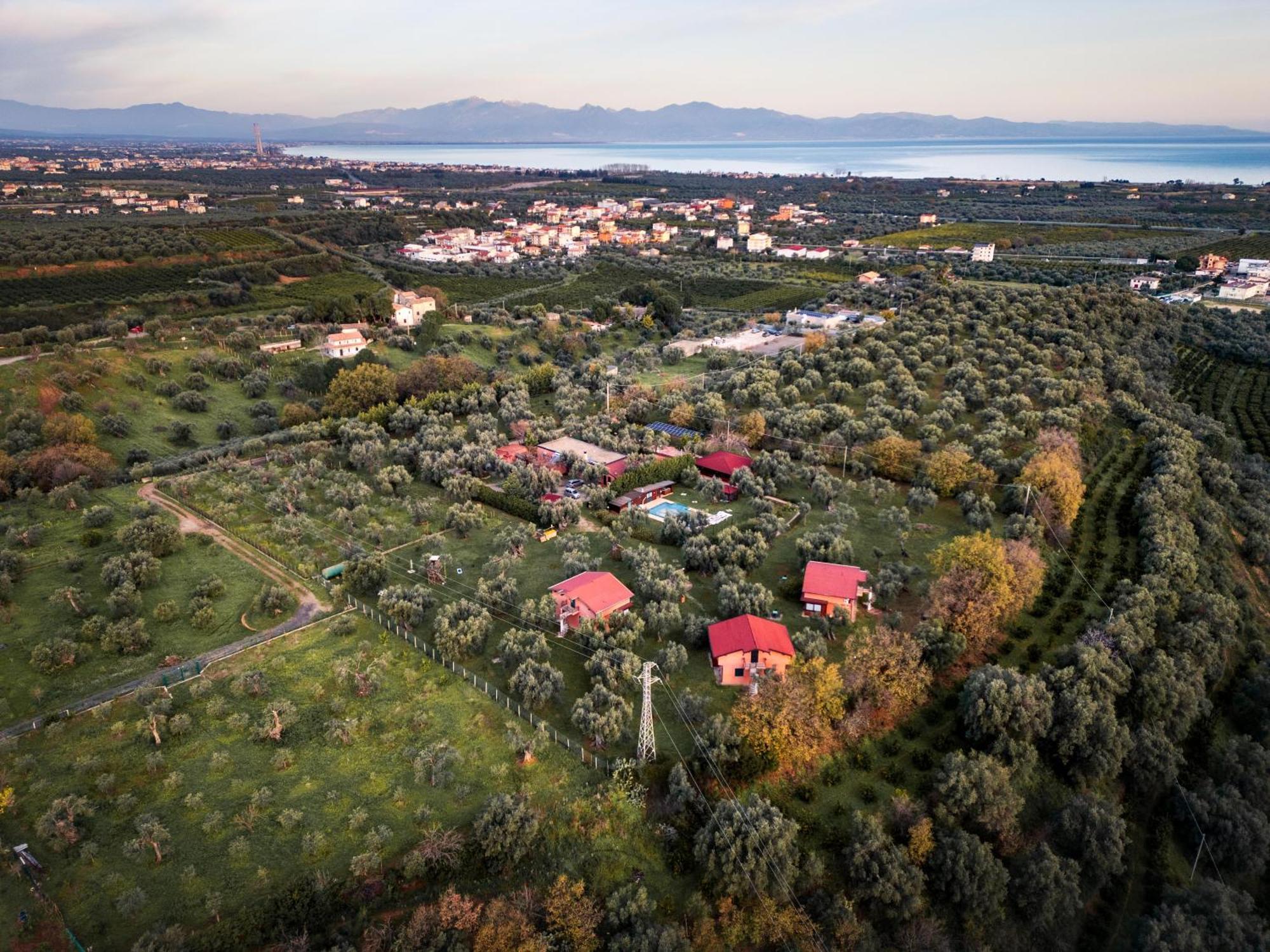 La Piana Degli Ulivi Bed & Breakfast Rossano Exterior foto