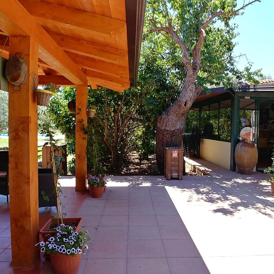 La Piana Degli Ulivi Bed & Breakfast Rossano Exterior foto