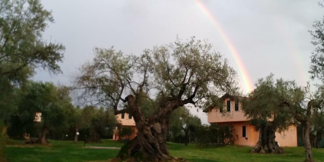 La Piana Degli Ulivi Bed & Breakfast Rossano Exterior foto